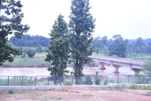 महेशपुर tree