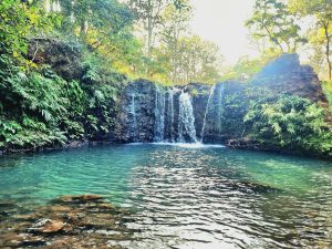 9 जलपरी बूढ़ानाग, मैनपाट