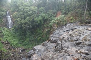 8. फिश पॉइंट, मैनपाट (1)