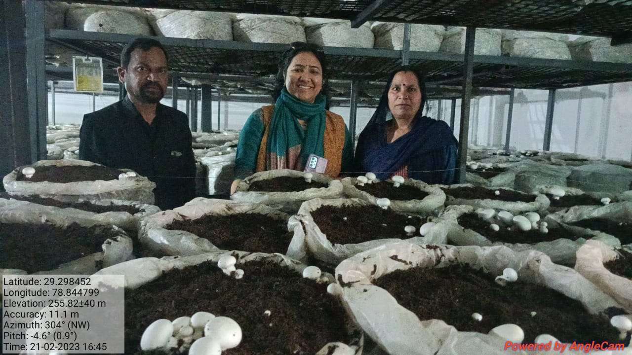 State Horticulture Mission