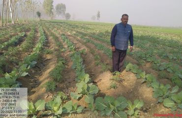 State Horticulture Mission