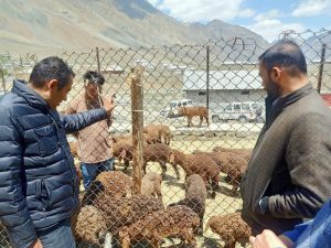 Secretary Ravinder visits Sankoo, takes stock of work progress of different departments under his charge (1)