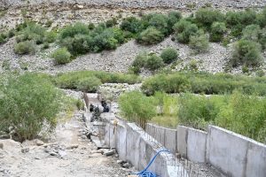 IMG_20220811_191123_350