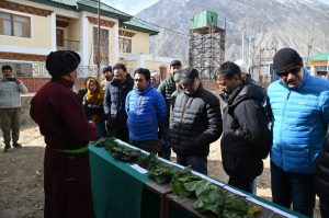 IMG_20221223_175054_308