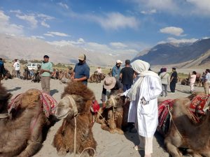 Animal Husbandry Department, Block Veterinary Officer Nubra Conducts Two-Day Health Checkup & Awareness Camp for Camels and Camel Herders at Hunder Sand Dunes
