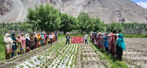 KVK Kargil-II Concludes 15-Day Viksit Krishi Sankalp Abhiyan Campaign Across Remote Villages of Kargil and Zanskar.