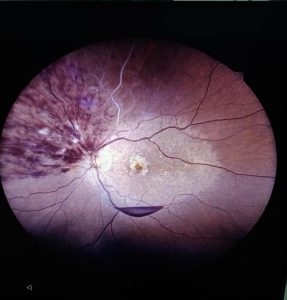 DCIM_4525 (2)