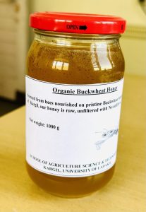 Buckwheat Honey extraction in the high lands of Kargil.