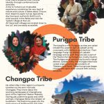 WhatsApp Image 2025-11-03 at 16.29.27(6) WhatsApp Image 2025-11-03 at 16.29.27(6)