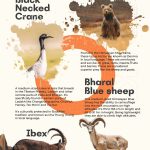 WhatsApp Image 2025-11-03 at 16.29.27(8) WhatsApp Image 2025-11-03 at 16.29.27(8)