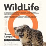 WhatsApp Image 2025-11-03 at 16.29.27(7) WhatsApp Image 2025-11-03 at 16.29.27(7)