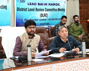DC Kargil chairs District Level Review Committee meeting