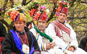 Apricot Blossom Festival 2026 Blooms in Garkone, Showcasing Kargil’s Cultural Heritage and Boosting Tourism.