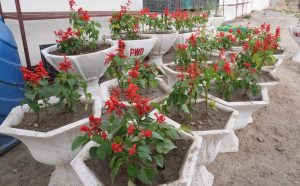 On L-G Vinai Kumar Saxena’s directions, Leh Municipal Area undergoes major beautification drive.