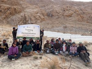 Under the Mission for Integrated Development of Horticulture (MIDH) project, a field activity was successfully conducted today at the Model Apple Orchard, Himya (Rong Changthang)