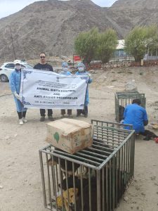Animal Husbandry Department, Leh Organizes 4-Day Animal Birth Control & Anti-Rabies Camp at Kharu Military Stations.