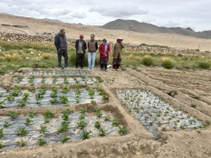 Field Visit of the Sub-Divisional Magistrate to Pioneer Mushroom Cultivation (Oyster mushroom) Site at Yurgoo village Durbuk Sub-Divsion.