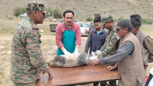Animal Health Camp Held at Choskor Panikhar in Collaboration with Indian Army Kargil, 7th August 2026: