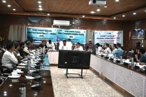 DC Kargil Chairs District Level Review Committee Meeting to Assess Banking and Credit Progress.