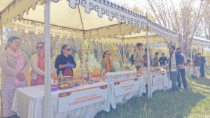 L-G VK Saxena inaugurates two-day International Sea Buckthorn Conclave in Ladakh