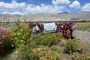 Medicinal Plant Identification Camp-cum-Herbal Garden Open Day Organised at Palam, Leh as Part of 11th Ayurveda Day Celebrations.