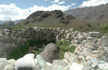 egendry BHIM stone of Bhimbat Drass