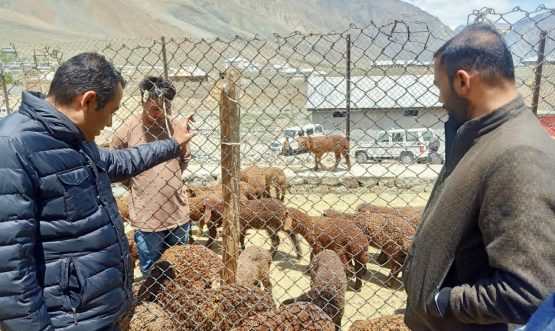 Secretary Ravinder visits Sankoo, takes stock of work progress of different departments under his charge (1)