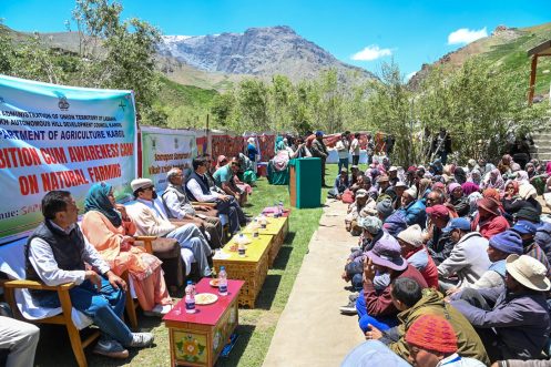 CEC, Dr Jaffer inaugurates exhibition/ awareness camp on natural farming Kargil, June 12, 2025 - Chairman and Chief Executive Councillor, LAHDC, Kargil Dr Mohd Jaffer Akhoon inaugurated a day long Exhibition/ Awareness camp on Natural Farming and also attended the concluding ceremony of Viksit Krisha Sankalp Abhiyan organised by Krishi Vigyan Kendra Kargil (KVK) and Department of Agriculture here today at Sapi Village. Addressing the event, the CEC Dr Jaffar said, farmers are the backbone of our society and their economic empowerment naturally strengthens the nation. He congratulated Sapi Village for getting selected under the Organic Farming village scheme. He added that Ladakh has been practising natural organic farming for centuries and now with the Government intervention to promote organic farming, Ladakh will further go ahead in this mission. Scientists from concerned departments and progressive farmers should explore all ways and means to make Ladakh an Organic Union Territory, the CEC added. The CEC appreciated the efforts of the Agriculture Department and KVK for achieving sustainable development in the Agriculture and allied sectors in the district in recent years. Dr Jaffar added that organic products have more value in the market and farmers should practise this form of farming on a large scale. He added that 95% procurement of inorganic fertilizers has already been curtailed by the concerned departments. Related to the various demands related to the development of the village the CEC assured of necessary intervention. He said that a proposal for the upgradation of the Medical Centre has already been sent, further the demand of ambulances will be explored in a possible way. The CEC applauded the Sapi villagers for their communal harmony and mutual co-existence, which is really inspiring. Director Horticulture Tsewang Phunsok also congratulated the village for getting selected under Organic Farming scheme and added that as now Ladakh has a good number of qualified scientists in the field of Agriculture, people should take maximum benefits from their valuable suggestions and expertise to increase the agricultural capacity of Ladakh. He assured that the public will benefit from all sponsored schemes related to the betterment of agriculture and farmers. Chief Agriculture Officer, Ashiq Hussain Basharat expressed gratitude to the dignitaries and the villagers for joining the event and making it a success. He added that Viksit Krisihi Sankalp Abhiyan went from 29 April -12 June at Sapi in which villagers of Fokar and Sapi participated. He added that during this campaign the farmers were informed about all the schemes and benefits provided by allied departments. He added the reason Sapi has been chosen as an Organic Farming village is because of its remote geography and organic farming is already being practiced here. Dr Nasreen Fatima Kacho Head KVK informed that in Kargil around 4500 farmers participated In Viksit Krishi Sankalp Abhiyan more than the target of 2200 given by the ICAR. She expressed all concerned departments including Agriculture and Animal Husbandry for making the campaign a success. Nawang village representatives thanked the CEC and concerned departments for organising the event in the village. He also shared some demands including Airtel Mobile towers, strengthening health centre, grass for cattle, repair of irrigation kuls and Green houses. The CEC was also felicitated by traditional Khataks by the representative of Buddhist and Muslim Communities of the village. The CEC assured that needful will be done to resolve the issue and said that he will visit the village again with the concerned officers to assess the situation. District Agriculture Officer Dr Razia Banoo on the occasion gave vote of thanks and expressed gratitude to all dignitaries and farmers for participating in the event. Later on, momentos were distributed among the progressive farmer Feroz Hussain and Kaneez Fatima from RGAMO group Shargole. Further Media persons from DD Leh and Air Kargil Mansoor Lamkhan and Anayat Shotopa were also felicitated with mementos by ye dignitaries for their constant support in dissemination of the initiatives of KVK and Agriculture Department. Kacho Alamgir Khan conducted the programme proceedings. The event was attended by Director Horticulture, Chief Agriculture Officer Kargil, Head Krishi Vigyan Kendra Kargil (KVK), Scientists of KVK besides officers of Agriculture Department and a good number of progressive farmers from Sapi and Fokar villages.