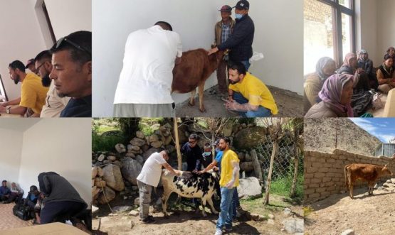 'Month of Compassion' The Animal Husbandry Department, in collaboration with Chamba Animal Care Centre, organised an Animal Health Awareness and Adoption Camp at Main Market Leh.