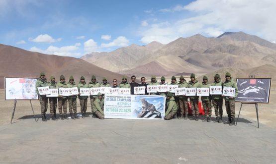 International Snow Leopard Day 2025.