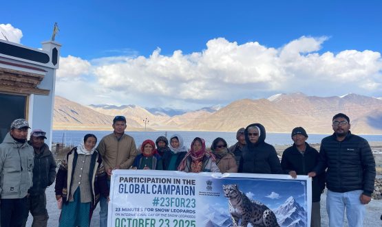 The Durbuk Forest Range celebrated International Snow Leopard Day with great enthusiasm, marked by various activities organized under the global campaign theme “23 for 23.”