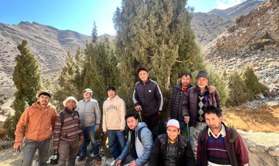 Inspection Aims to Boost Juniper Protection at Talma Brook.