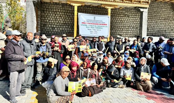 WhatsApp Image 2025-10-31 at 12.35.29 PM