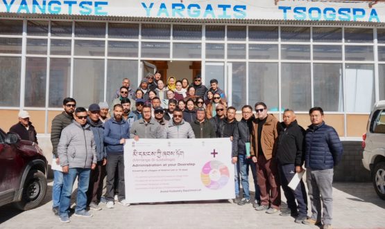 WhatsApp Image 2025-11-11 at 14.48.48