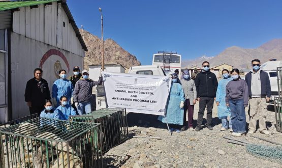 Animal Husbandry Department Leh Conducts ABC & AR Camps in Nyoma, Durbuk, and Nubra Regions.