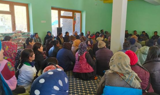 WhatsApp Image 2025-11-15 at 5.58.19 PM (2)