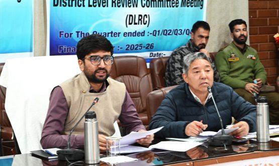 DC Kargil chairs District Level Review Committee meeting