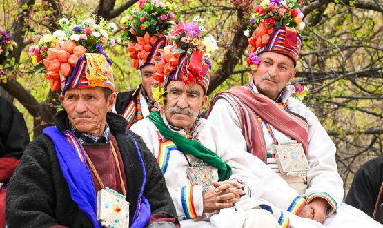 Apricot Blossom Festival 2026 Blooms in Garkone, Showcasing Kargil’s Cultural Heritage and Boosting Tourism.