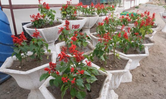 On L-G Vinai Kumar Saxena’s directions, Leh Municipal Area undergoes major beautification drive.