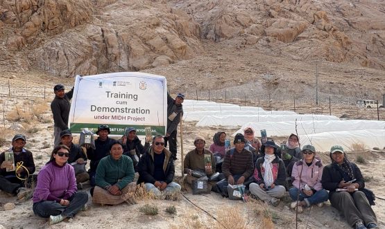 Under the Mission for Integrated Development of Horticulture (MIDH) project, a field activity was successfully conducted today at the Model Apple Orchard, Himya (Rong Changthang)