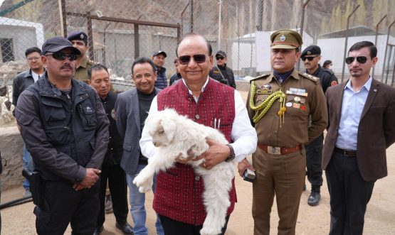 L-G Vinai Kumar Saxena visits Pashmina Goat Farm at Upshi Reiterates vision to establish Ladakh as a global hub for finest Pashmina wool.