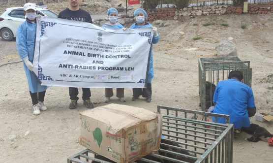 Animal Husbandry Department, Leh Organizes 4-Day Animal Birth Control & Anti-Rabies Camp at Kharu Military Stations.