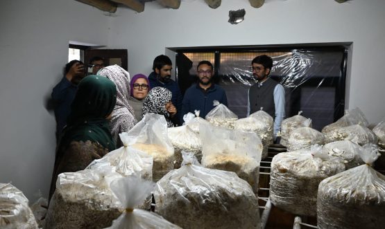 DC Kargil Visits Entrepreneurship and Processing Units at Kurbathang and Chanigund, Assures Support to Local Startups and Artisans.