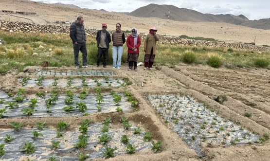 Field Visit of the Sub-Divisional Magistrate to Pioneer Mushroom Cultivation (Oyster mushroom) Site at Yurgoo village Durbuk Sub-Divsion.