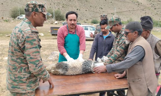 Animal Health Camp Held at Choskor Panikhar in Collaboration with Indian Army Kargil, 7th August 2026: