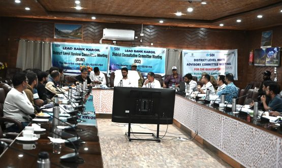 DC Kargil Chairs District Level Review Committee Meeting to Assess Banking and Credit Progress.
