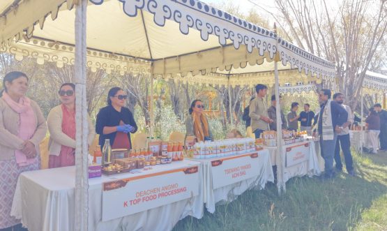L-G VK Saxena inaugurates two-day International Sea Buckthorn Conclave in Ladakh