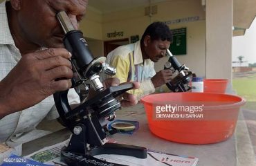 Egg Claw Testing