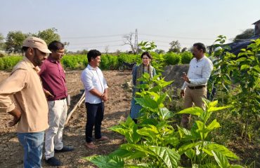 Smt. Vasumana Pant Director (Sericulture) Field visit at farm of  Mr. Giridhar Shinde Res. Deoli Gujar Taluka Nagpur Rural District Nagpur