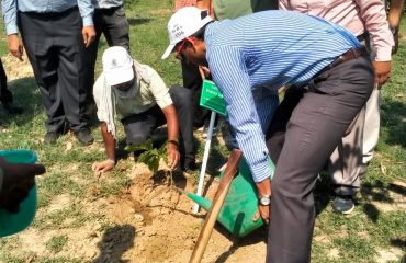 Celebration of World Environment Day